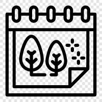 trees, leaves, canopy, forest floor icon svg