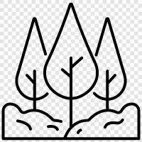 trees, park, nature, outdoors icon svg