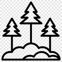 trees, leaves, bark, needles icon svg