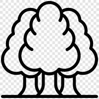 trees, leaves, bark, understory icon svg