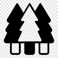 trees, forestry, forest products, lumber icon svg