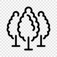 trees, leaves, bark, forest floor icon svg