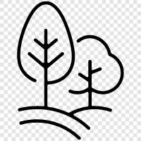 trees, greenery, nature, woods icon svg