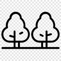 trees, nature, hiking, camping icon svg