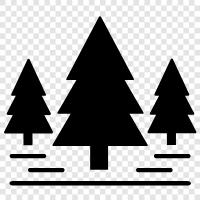 trees, nature, hiking, camping icon svg