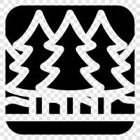 trees, growth, decay, leaves icon svg