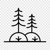 trees, leaves, bark, branches icon svg