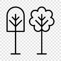 trees icon svg