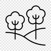 trees, leaves, forest, park icon svg