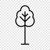 trees, foliage, needles, leaves icon svg