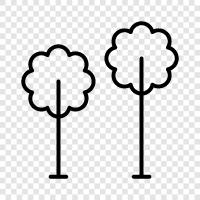 trees, grove, forest, lumber icon svg