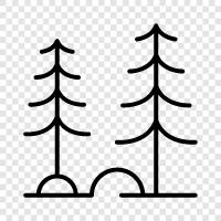 Bäume, Wald, natürlich, im Freien symbol