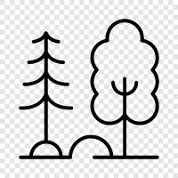 trees, lumber, forest products, timber icon svg