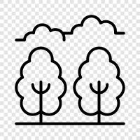 trees, flowers, landscapes, seascapes icon svg