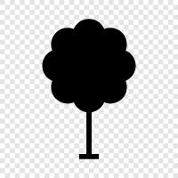 trees, forest, forest ecology, ecology icon svg