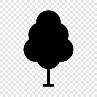 trees, a tree, a forest, a hedge icon svg