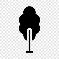 trees, growth, height, leaves icon svg