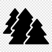 trees, nature, outdoors, hiking icon svg