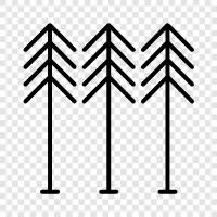 trees, leaf, leaves, bark icon svg