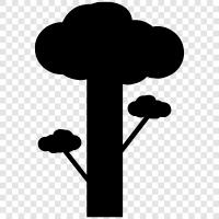 trees icon svg