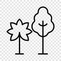 trees icon svg