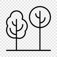 trees icon svg