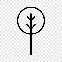 trees, spring, flowers, blooms icon svg