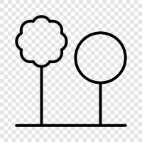 trees grow, tree trunk, tree bark, trees and forests icon svg