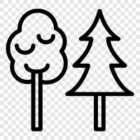 trees, forestry, wood, timber icon svg