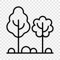 trees leaves, leaves, tree trunk, tree bark icon svg