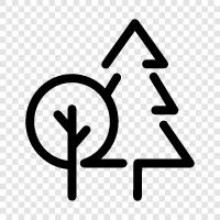 trees, leaves, bark, forest floor icon svg