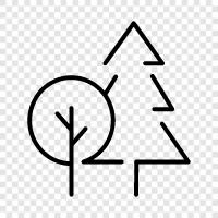 trees, leaves, bark, roots icon svg