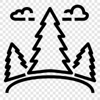 trees, leaves, needles, understory icon svg