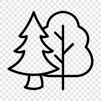 trees, nature, outdoors, hiking icon svg