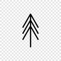 trees, wood, lumber, forest icon svg