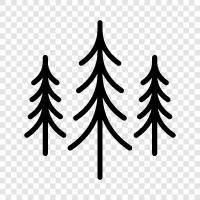ağaçlar, ahşap, kehribar, orman korucusu ikon svg