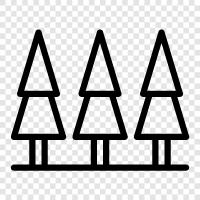 trees icon svg