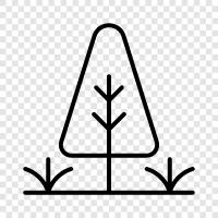 Bäume, Äste, Blätter, Wald symbol