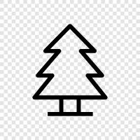 trees, needles, cone, cones icon svg