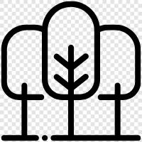 trees, woods, forest floor, understory icon svg