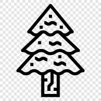 trees, needles, cones, Christmas icon svg