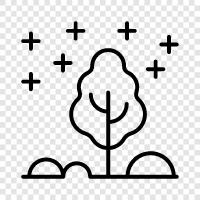 trees, forestry, logging, lumber icon svg