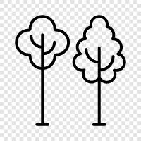 trees, tree, foliage, leaves icon svg