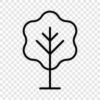 trees, leaves, parks, gardens icon svg