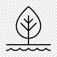 trees, leaves, branches, bark icon svg