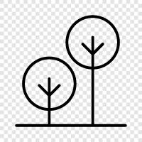 trees icon svg