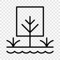 Bäume, Unterbäume, Kasten, ein Baum symbol