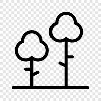 trees, leaves, bark, needles icon svg