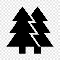 trees, forest, natural, wild icon svg