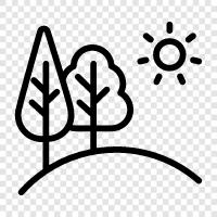 trees, leaves, bark, needles icon svg